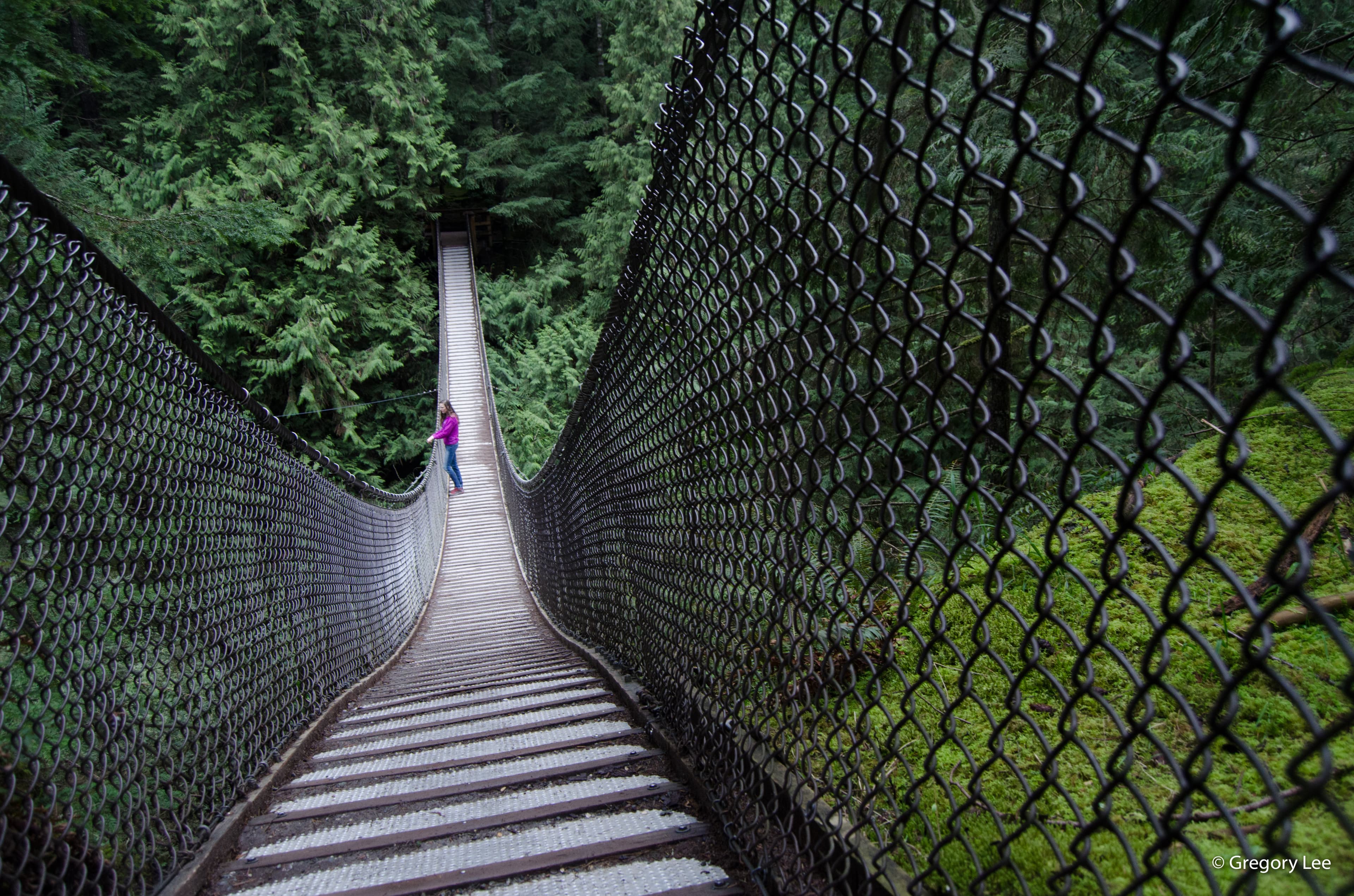 River Bridge