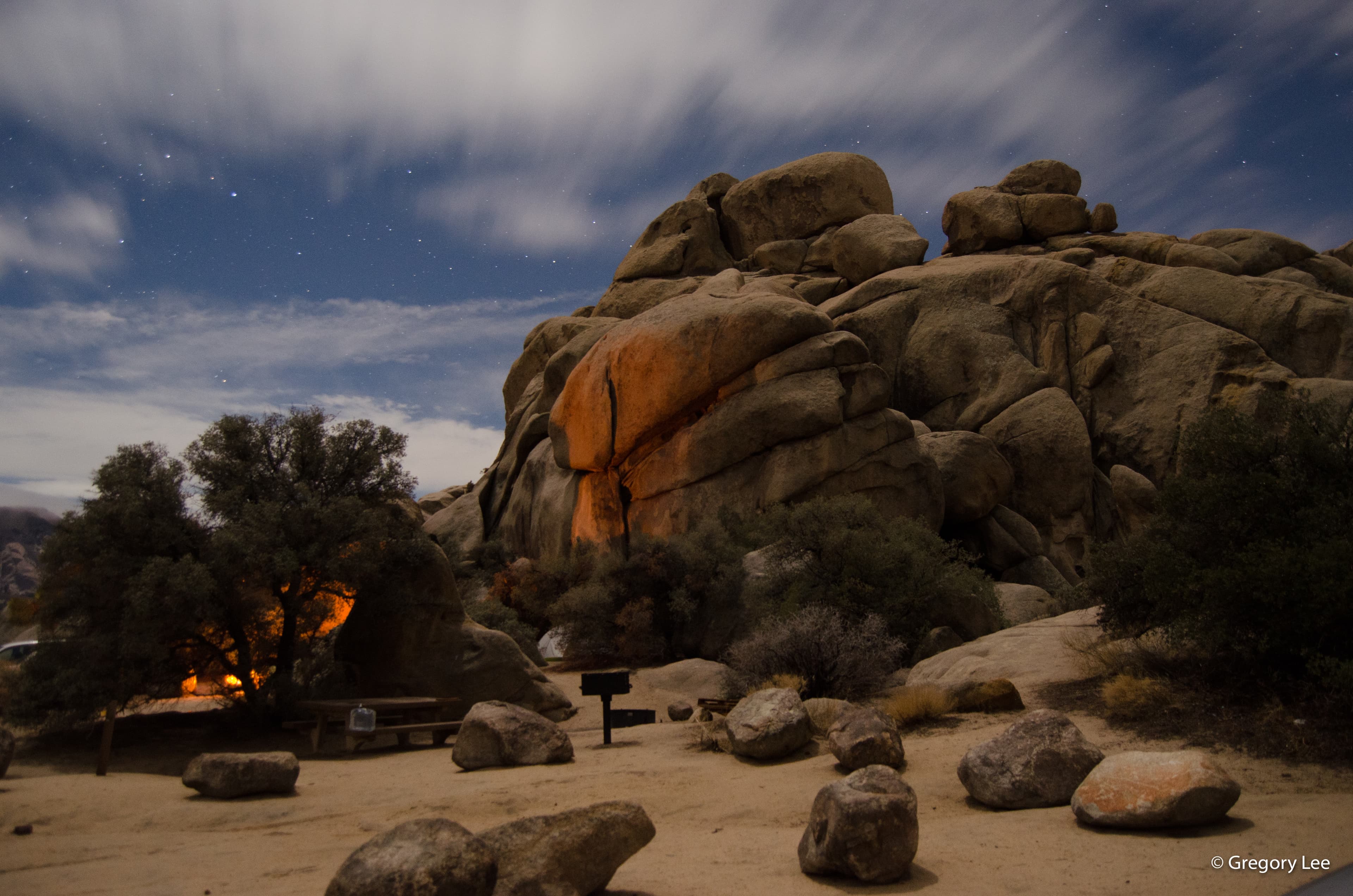 Joshua Tree Camping