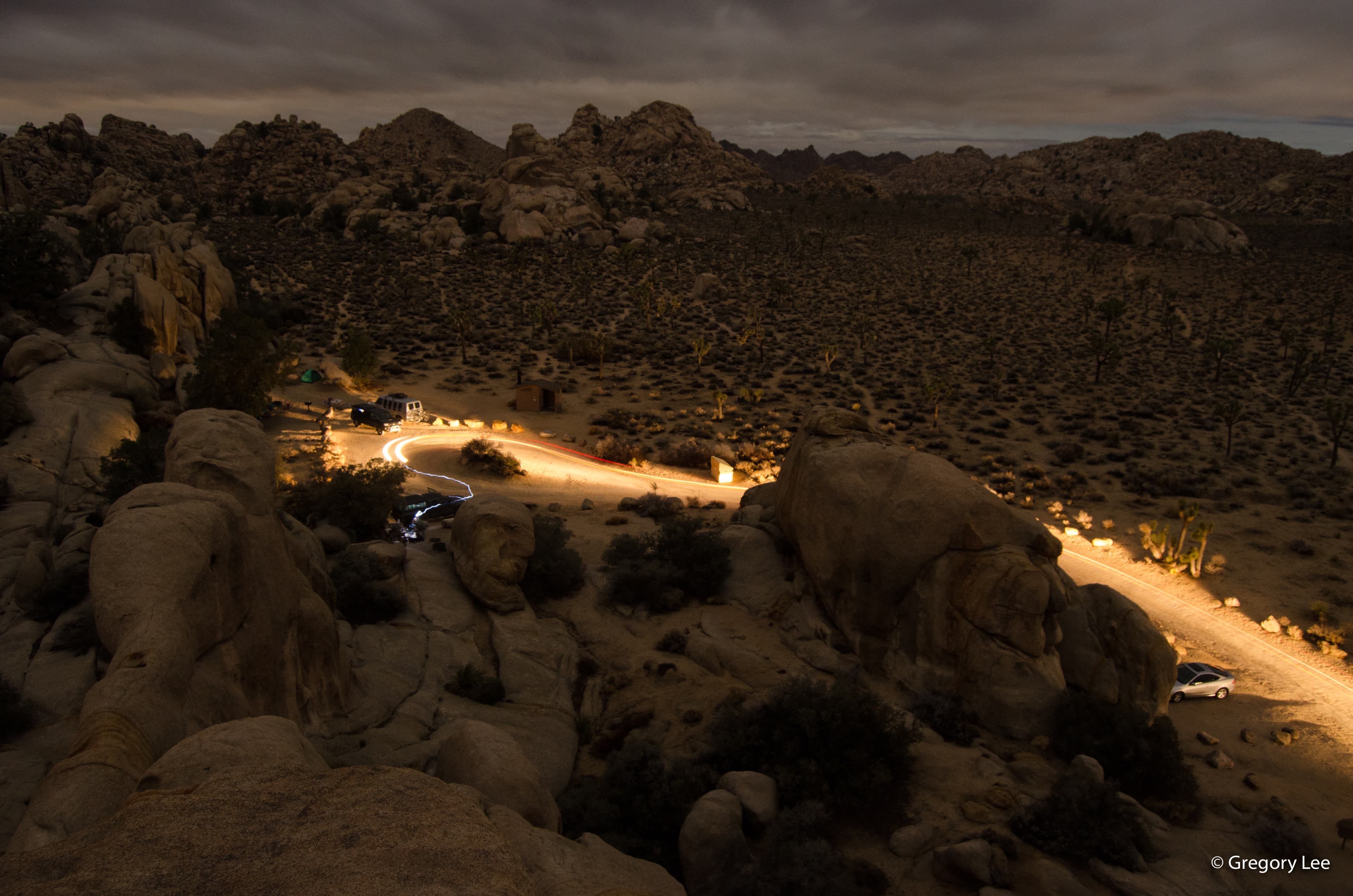 Joshua Tree Road